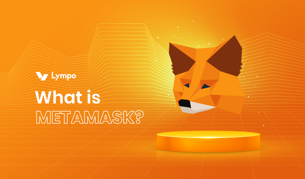 Beginner’s Guide to MetaMask: What Is MetaMask and How to Use It?